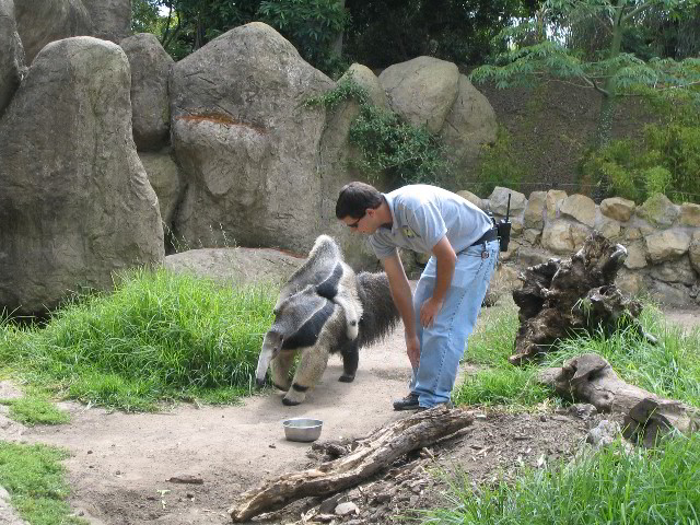 Santa-Barbara-Zoo-33