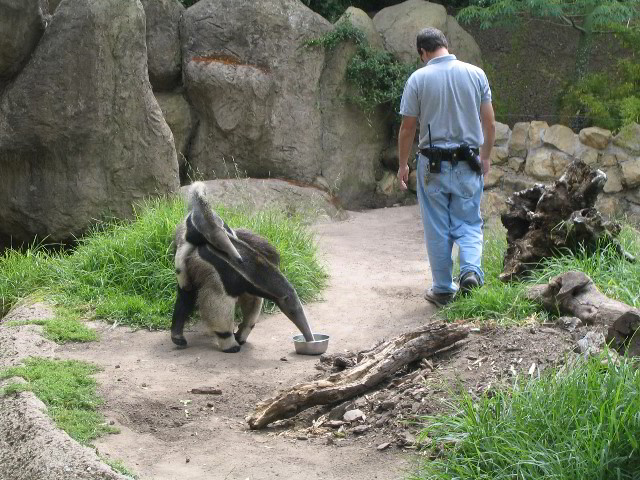 Santa-Barbara-Zoo-34