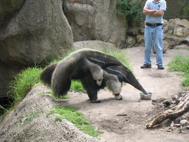 Santa-Barbara-Zoo-35