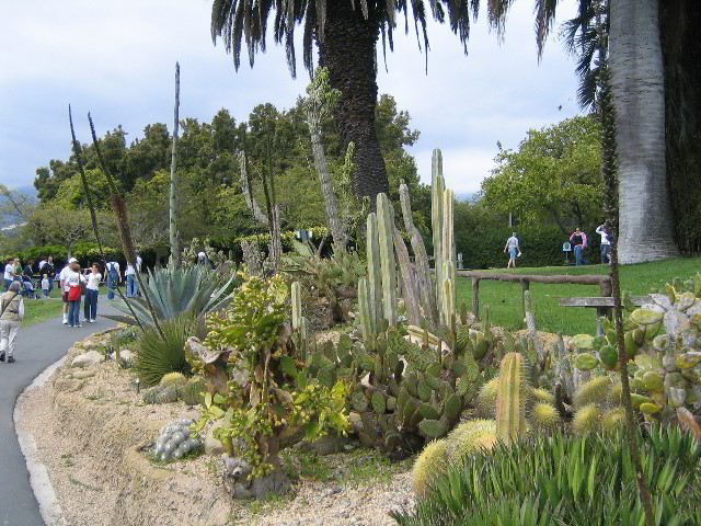 Santa-Barbara-Zoo-40