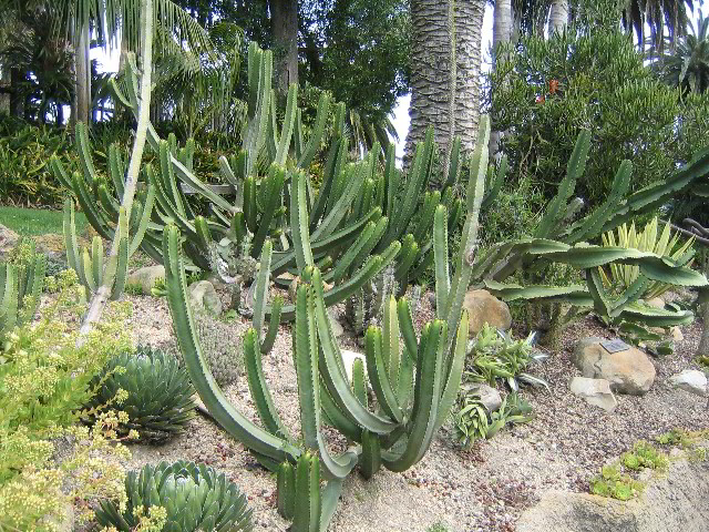 Santa-Barbara-Zoo-41