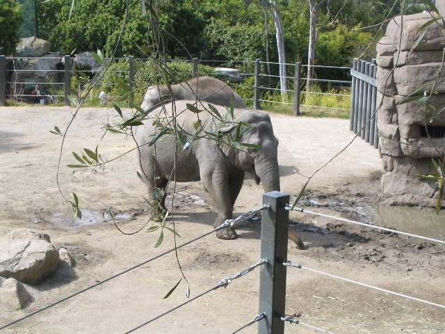 Santa-Barbara-Zoo-72