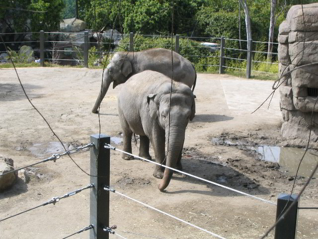 Santa-Barbara-Zoo-73