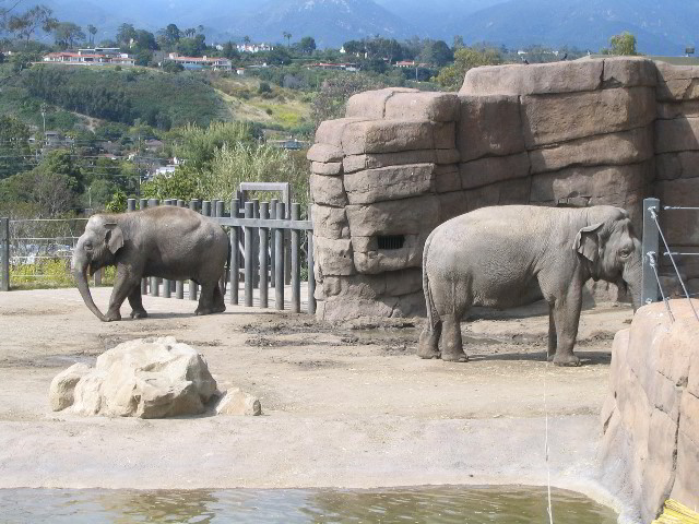 Santa-Barbara-Zoo-74