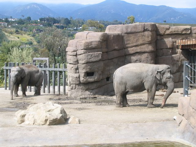 Santa-Barbara-Zoo-75