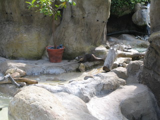 Santa-Barbara-Zoo-85