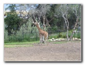 Santa-Barbara-Zoo-47