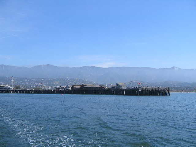 Santa-Barbara-Whale-Watching-14