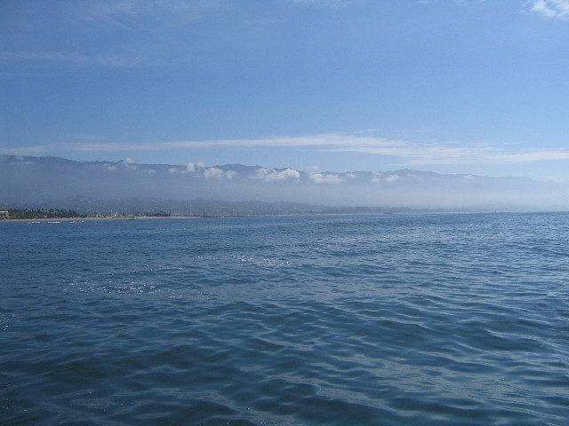 Santa-Barbara-Whale-Watching-26
