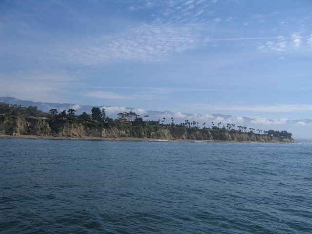 Santa-Barbara-Whale-Watching-46