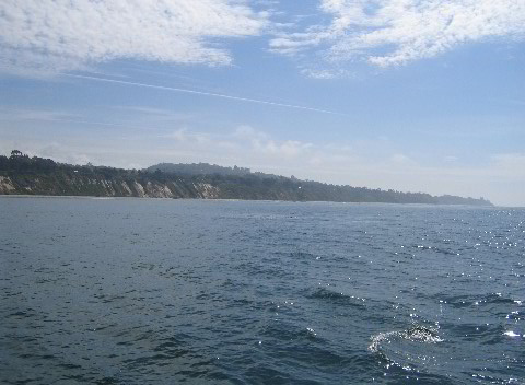 Santa-Barbara-Whale-Watching-57