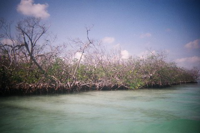 AquaWorld-Jungle-Tour-01