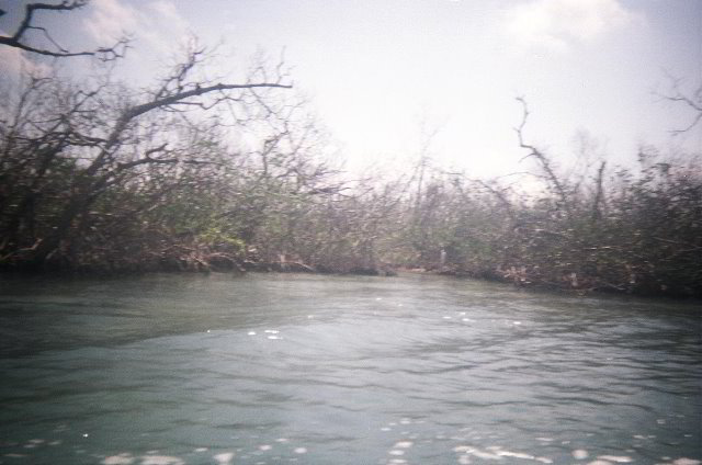 AquaWorld-Jungle-Tour-02