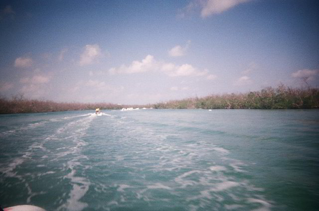 AquaWorld-Jungle-Tour-03