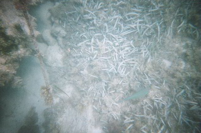 AquaWorld-Jungle-Tour-04