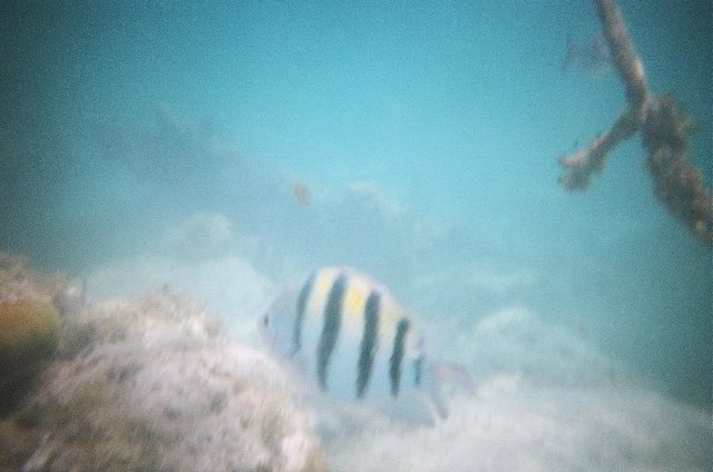 AquaWorld-Jungle-Tour-06