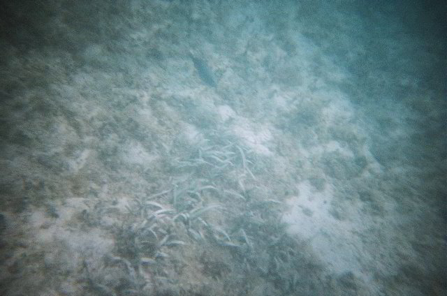 AquaWorld-Jungle-Tour-07