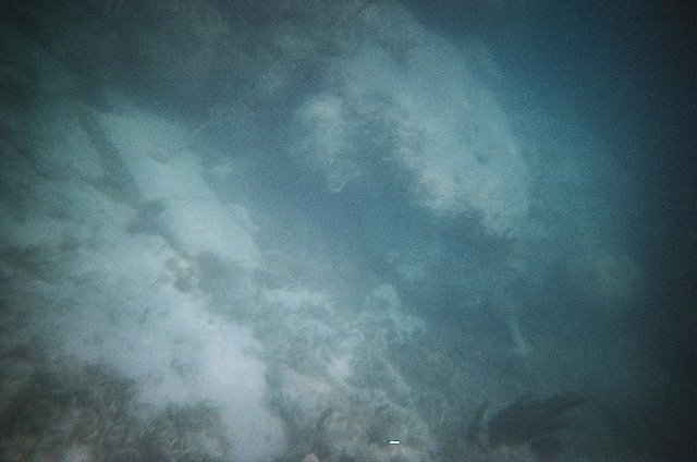 AquaWorld-Jungle-Tour-08