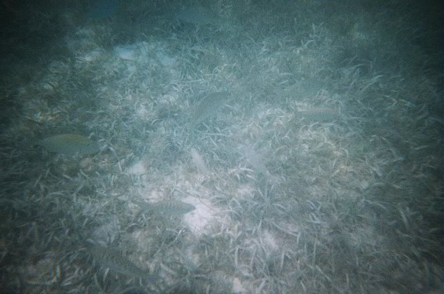 AquaWorld-Jungle-Tour-10