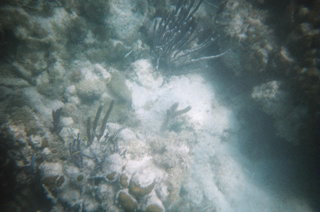 AquaWorld-Jungle-Tour-11