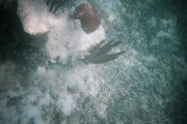 AquaWorld-Jungle-Tour-14