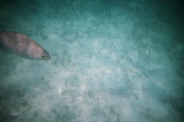 AquaWorld-Jungle-Tour-15