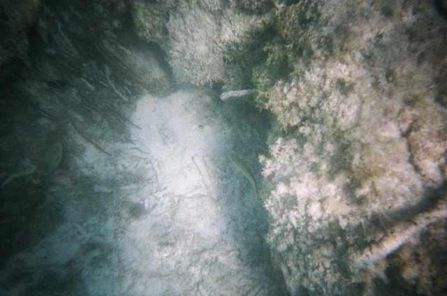 AquaWorld-Jungle-Tour-17