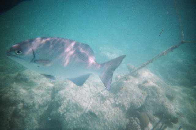 AquaWorld-Jungle-Tour-18