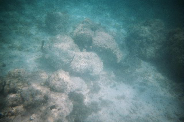 AquaWorld-Jungle-Tour-19