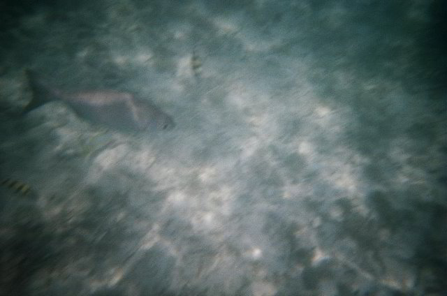 AquaWorld-Jungle-Tour-20