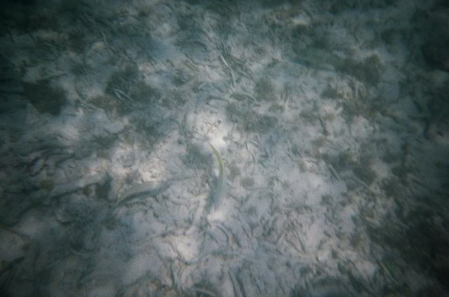 AquaWorld-Jungle-Tour-22