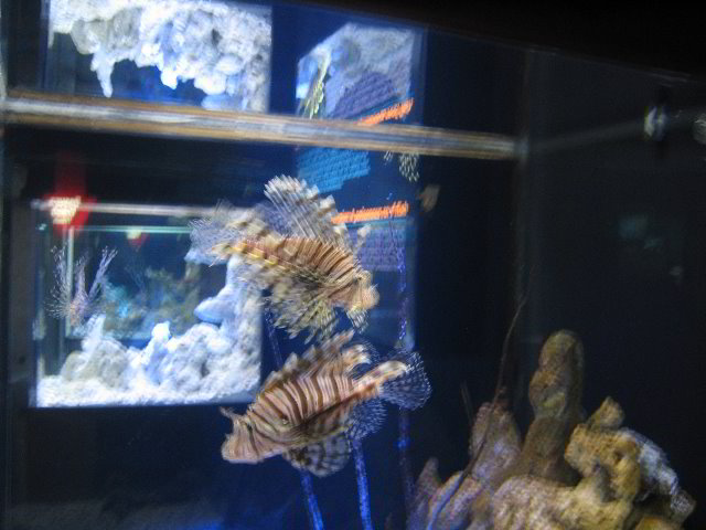 Interactive-Aquarium-La-Isla-Cancun-05