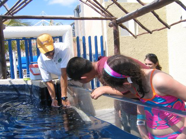 Interactive-Aquarium-La-Isla-Cancun-13