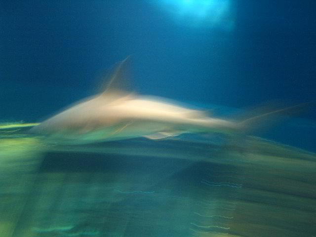 Interactive-Aquarium-La-Isla-Cancun-31