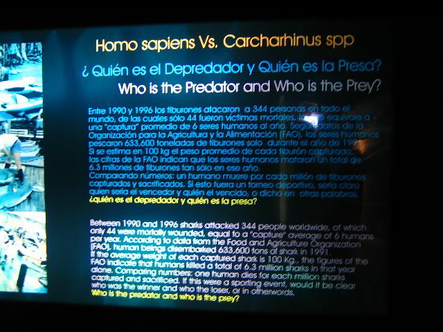 Interactive-Aquarium-La-Isla-Cancun-38