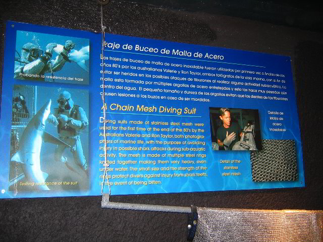 Interactive-Aquarium-La-Isla-Cancun-39