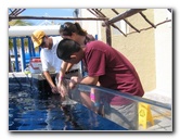 Interactive-Aquarium-La-Isla-Cancun-14