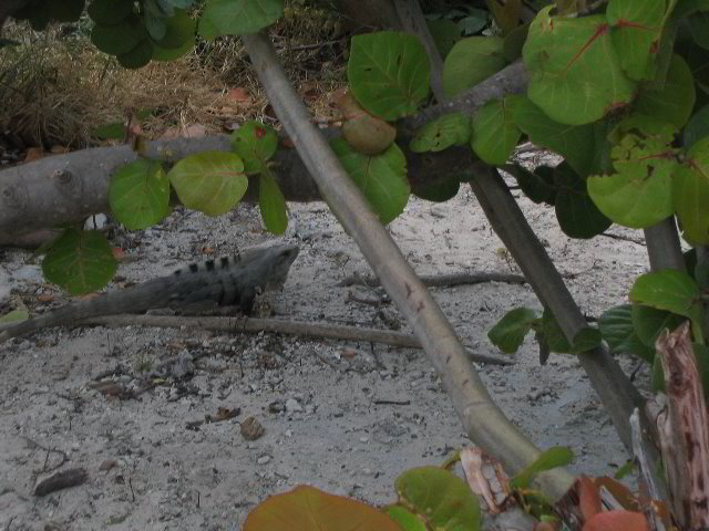 Omni-Cancun-Hotel-53