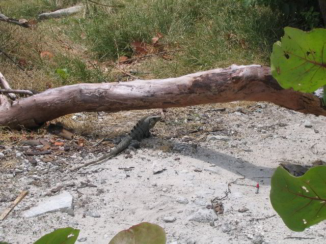 Omni-Cancun-Hotel-54