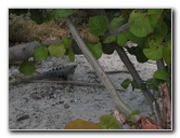 Omni-Cancun-Hotel-53