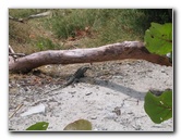 Omni-Cancun-Hotel-54