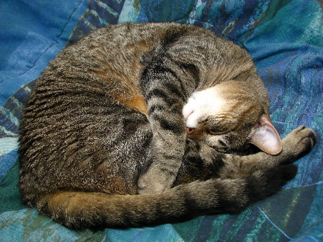 Canon-Speedlite-430EX-Flash-Review-024