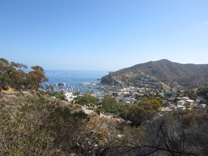 Casino-Point-Snorkeling-Avalon-Catalina-Island-CA-004