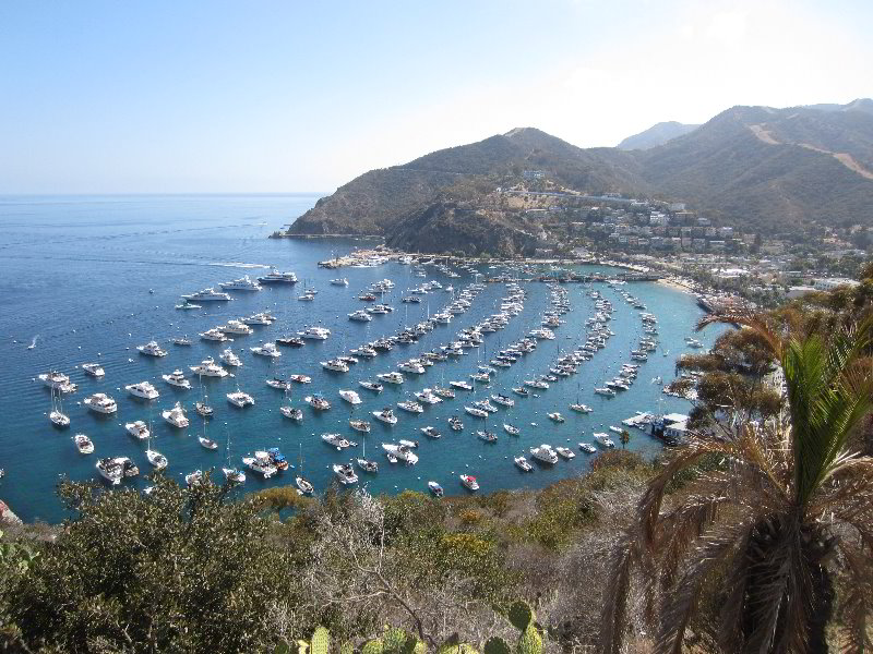 Casino-Point-Snorkeling-Avalon-Catalina-Island-CA-005