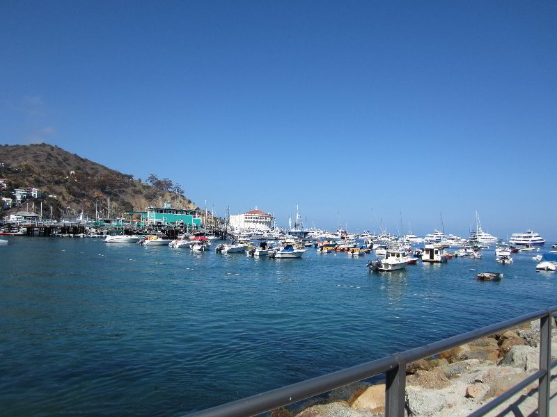 Casino-Point-Snorkeling-Avalon-Catalina-Island-CA-006