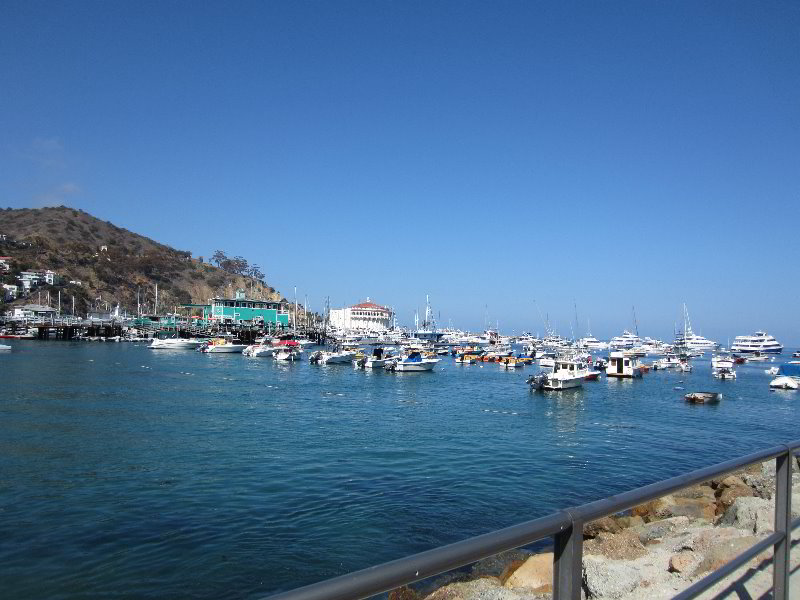 Casino-Point-Snorkeling-Avalon-Catalina-Island-CA-006