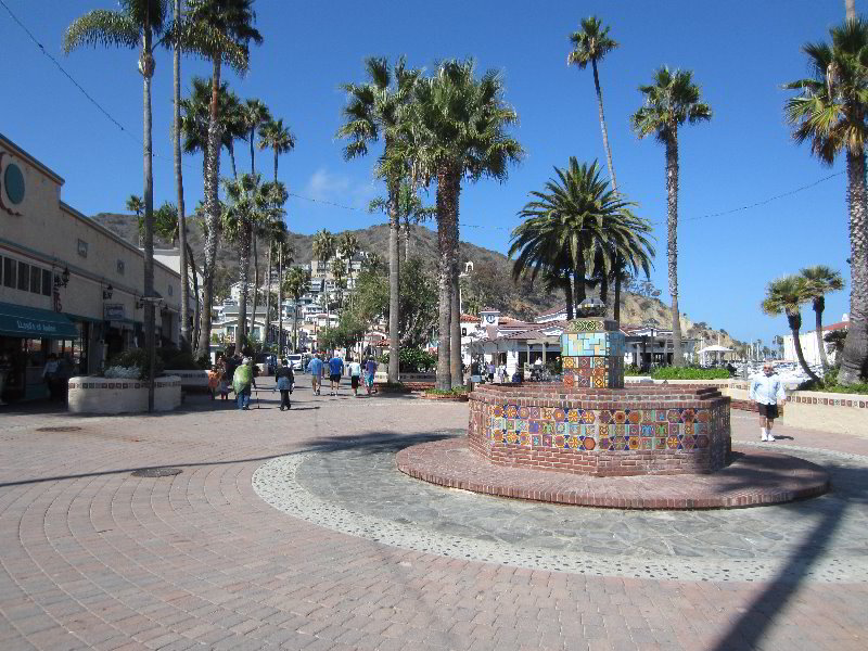 Casino-Point-Snorkeling-Avalon-Catalina-Island-CA-008