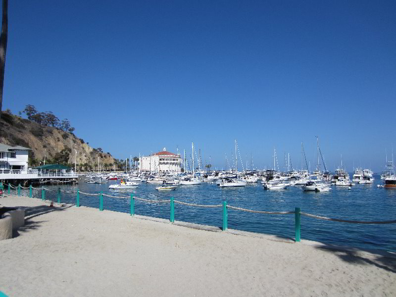 Casino-Point-Snorkeling-Avalon-Catalina-Island-CA-009