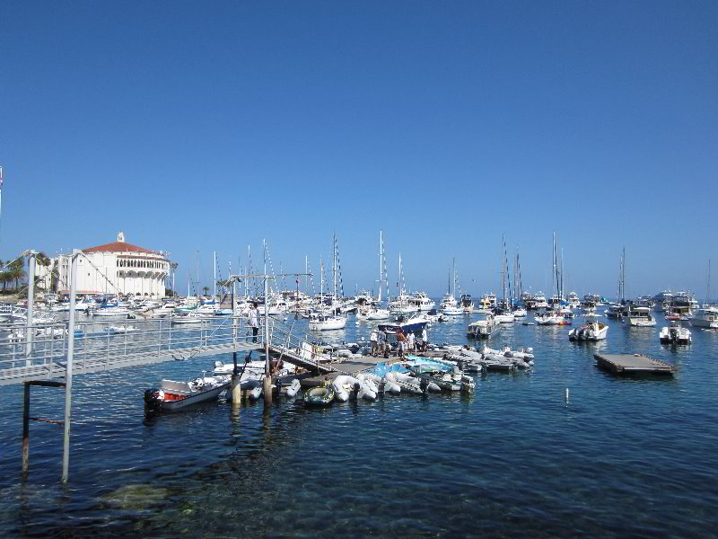 Casino-Point-Snorkeling-Avalon-Catalina-Island-CA-010