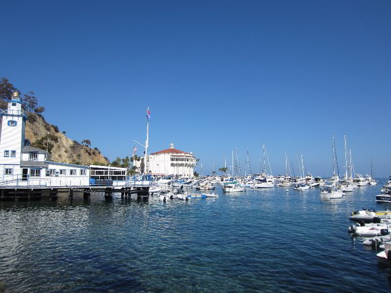 Casino-Point-Snorkeling-Avalon-Catalina-Island-CA-012